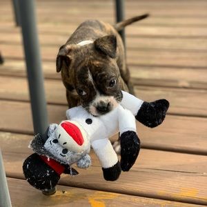 Meet your Posher, Courtney